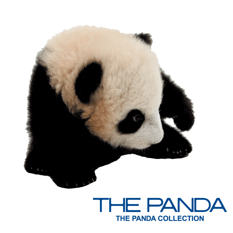 THE PANDA イメージ