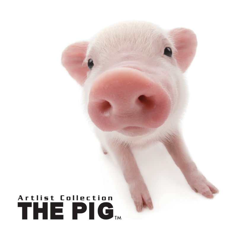 THE PIG イメージ