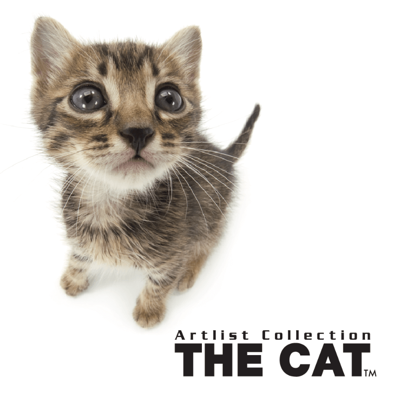 THE CAT画像