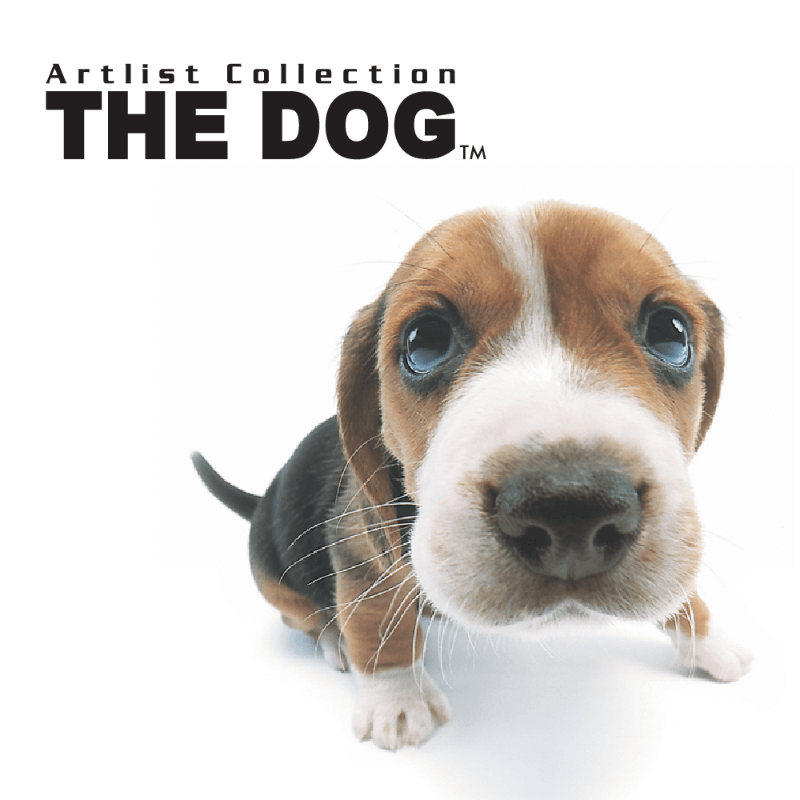 THE DOG画像