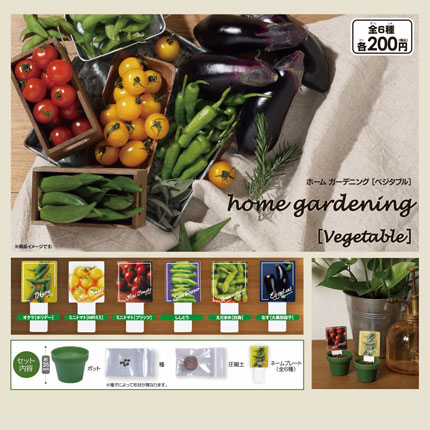home gardening【Vegetable】画像