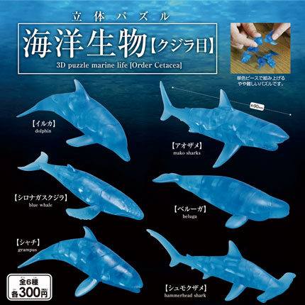 立体パズル【海洋生物】クジラ目サムネイル0