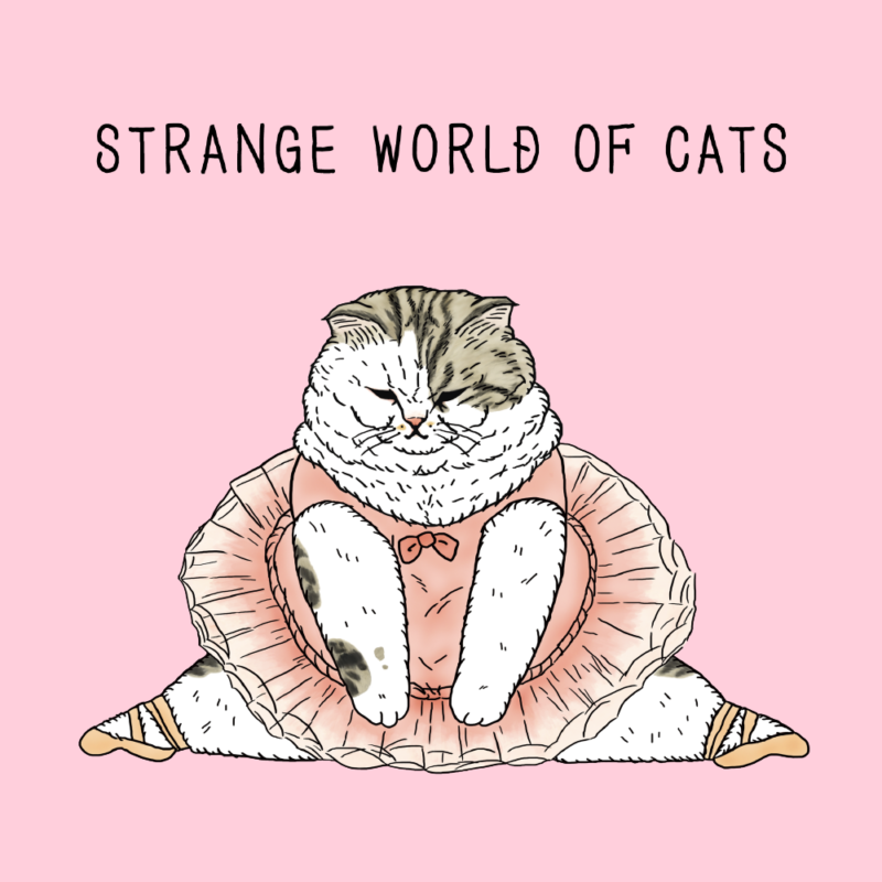 世にも不思議な猫世界サムネイル3