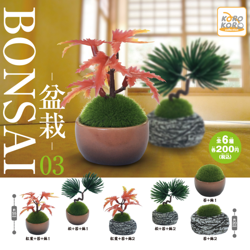 盆栽－BONSAI－03サムネイル0