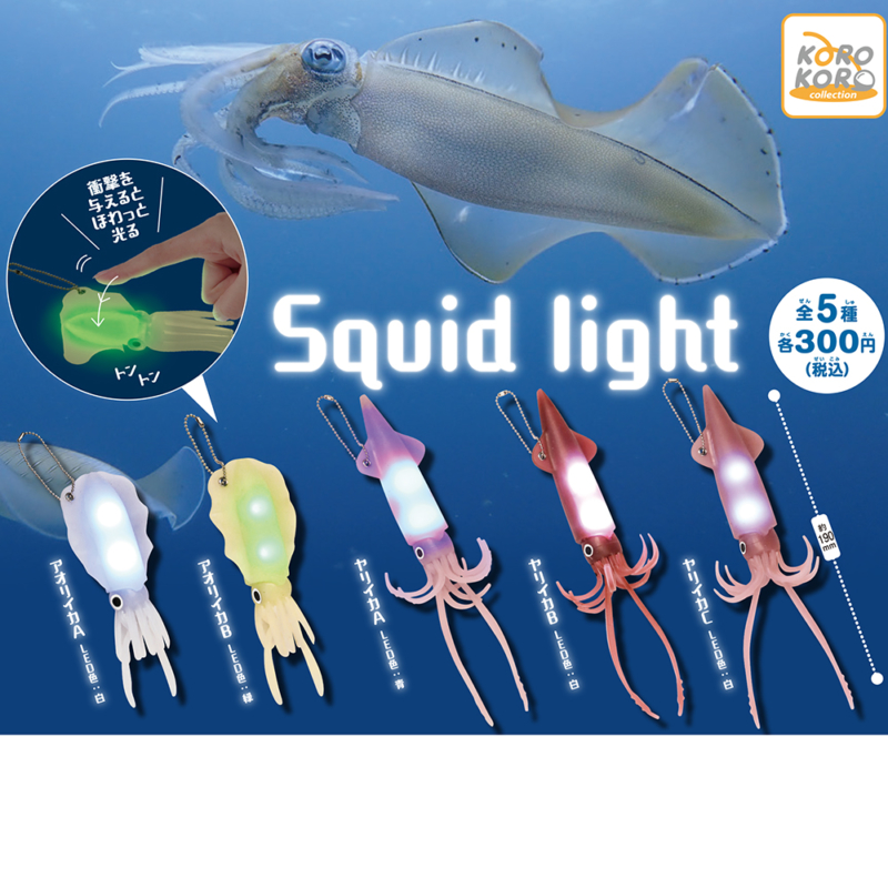 Squid light画像